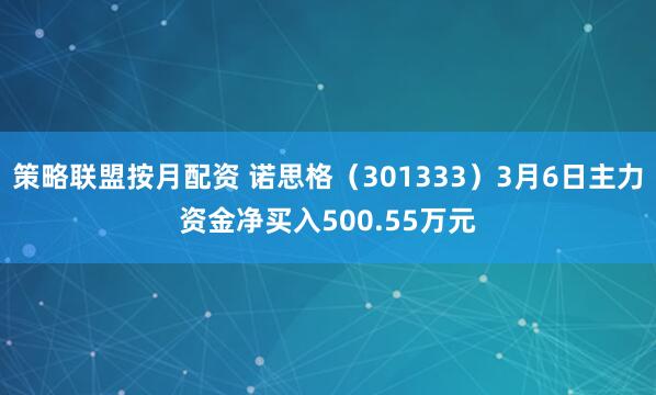 策略联盟按月配资 诺思格（301333）3月6日主力资金净买入500.55万元