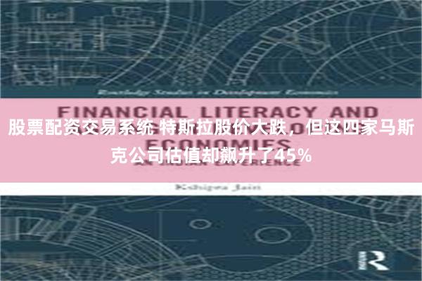 股票配资交易系统 特斯拉股价大跌，但这四家马斯克公司估值却飙升了45%