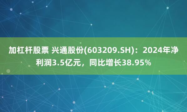 加杠杆股票 兴通股份(603209.SH)：2024年净利润3.5亿元，同比增长38.95%