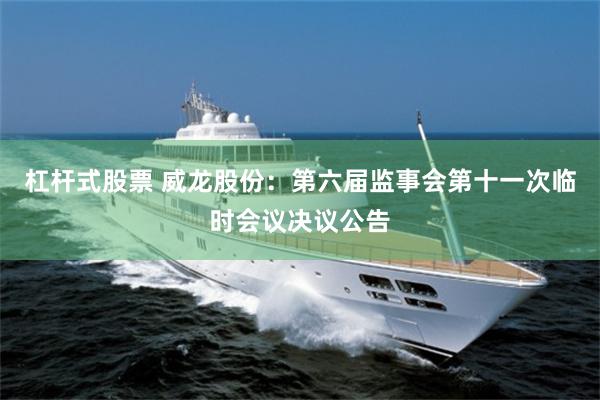 杠杆式股票 威龙股份：第六届监事会第十一次临时会议决议公告