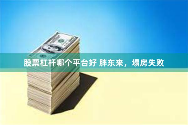 股票杠杆哪个平台好 胖东来，塌房失败
