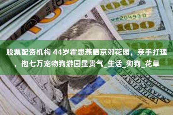 股票配资机构 44岁霍思燕晒京郊花园，亲手打理，抱七万宠物狗游园显贵气_生活_狗狗_花草