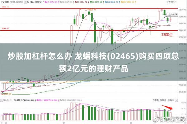 炒股加杠杆怎么办 龙蟠科技(02465)购买四项总额2亿元的理财产品