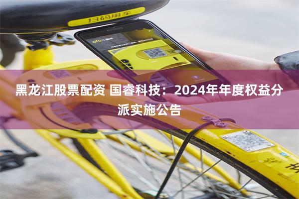 黑龙江股票配资 国睿科技：2024年年度权益分派实施公告