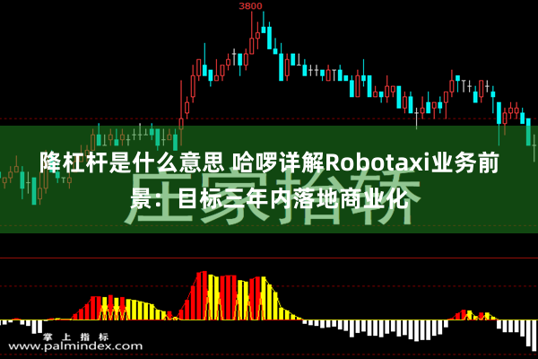 降杠杆是什么意思 哈啰详解Robotaxi业务前景：目标三年内落地商业化